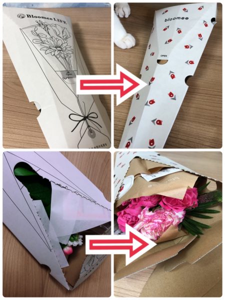 リニューアルしたブルーミー