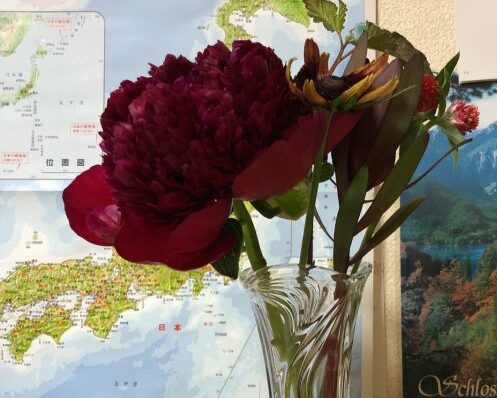 以前買っていたひとはなの定期便で届いたお花たち