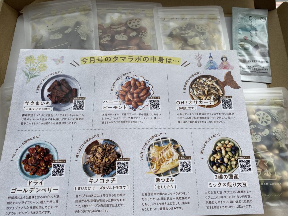 26年2月号おやつの定期便タマラボの中身チラシ