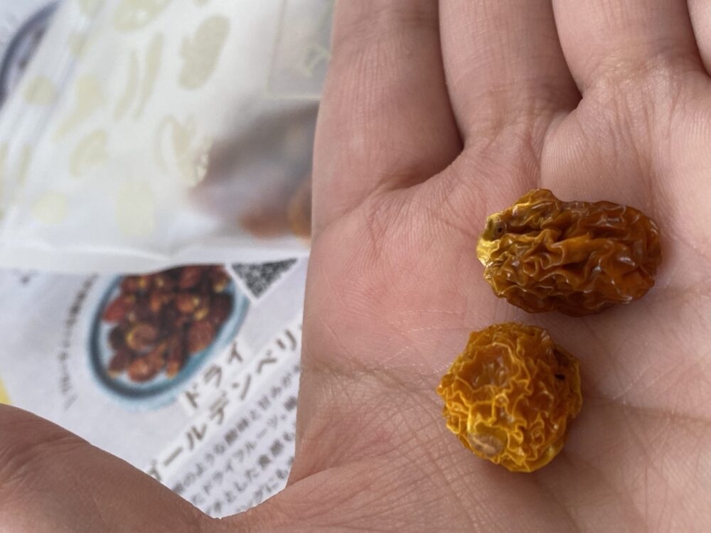 タマラボに入っていたドライフルーツ