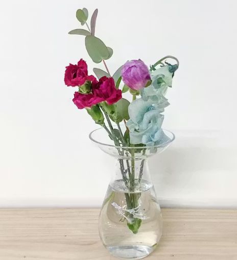 ひとはなライトプラン26年2月届いた花