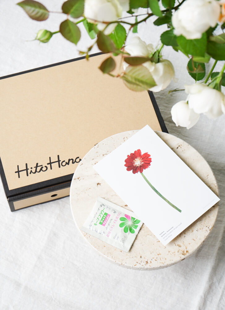 ひとはなの低価格プラン