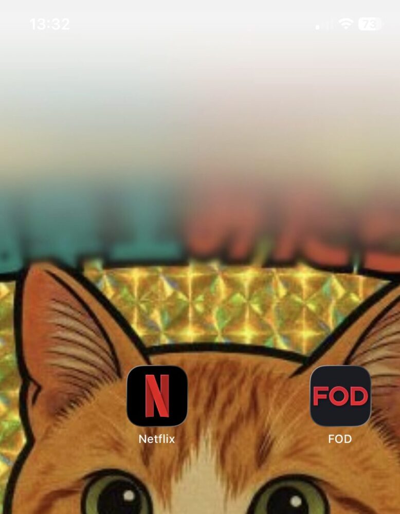 フジテレビオンデマンドとネットフリックスを契約