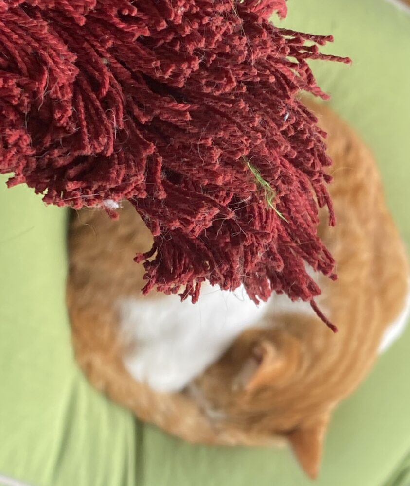 1週間使ったダスキンモップ