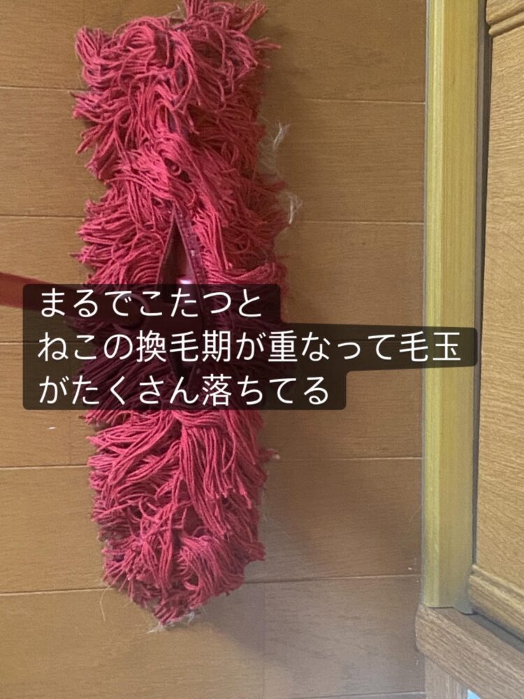 猫の毛たくさんとれるダスキンモップ