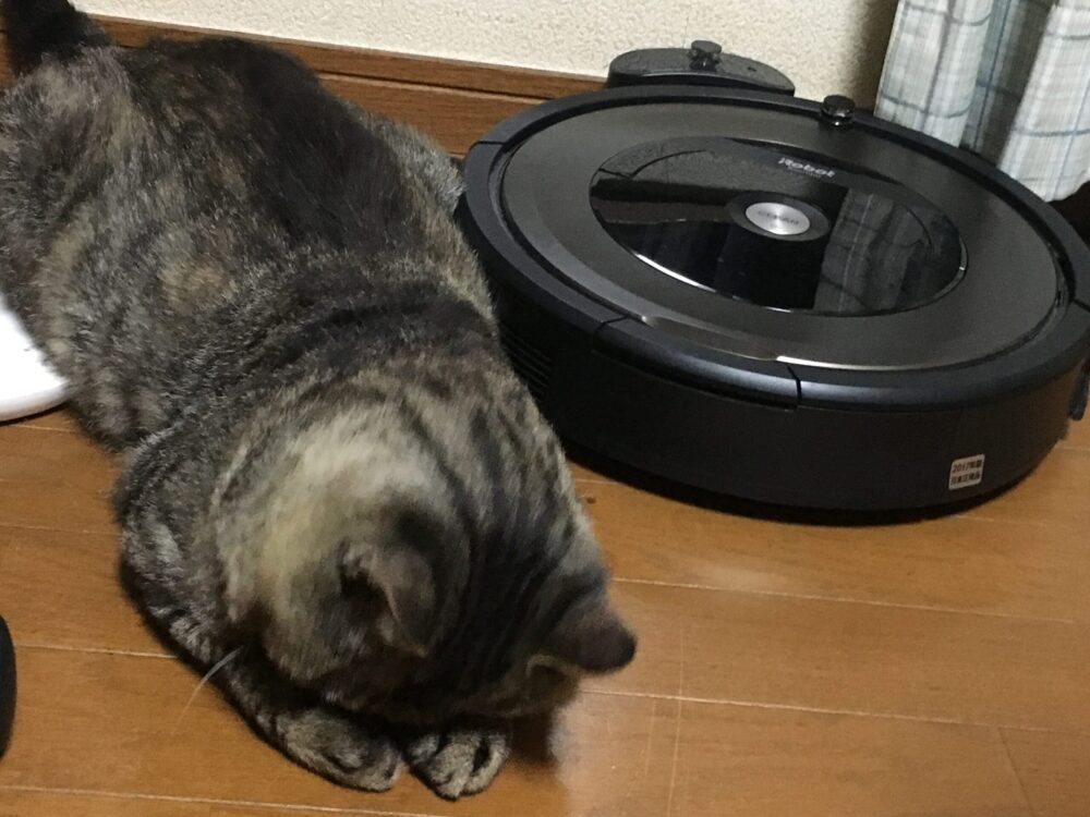 ルンバとねこ