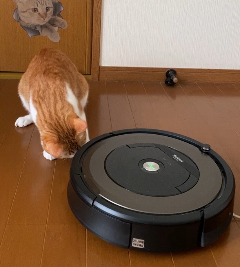 ルンバを破壊するねこ