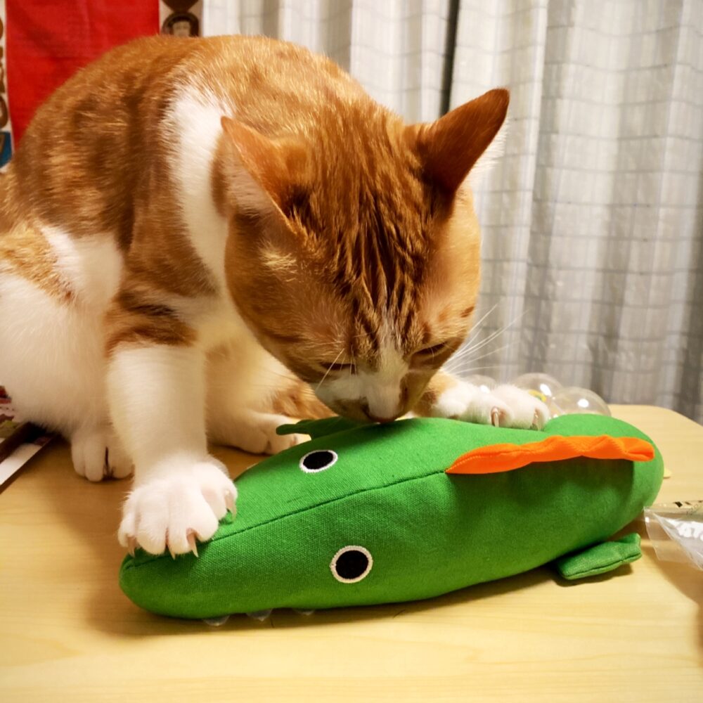 ねこおもちゃ