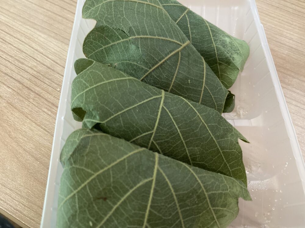 冷凍柏餅を開けてみた。パルシムテムで買った