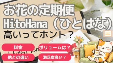 HitoHanaは高い？料金とボリュームを徹底検証