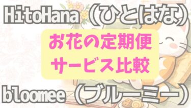 HitoHana（ひとはな）とブルーミーを比較｜違いは？どっちがおすすめか体験レビュー