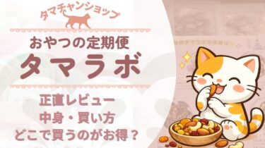 タマラボ体験レビュー｜ポテチの代わりになる？ダイエット中でも続けやすいおやつ定期便