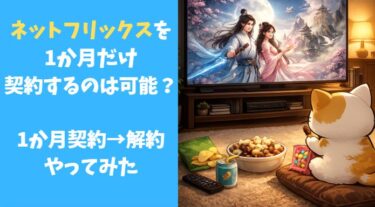 ネットフリックスを1ヶ月だけ使って解約した体験談【料金いくら?】