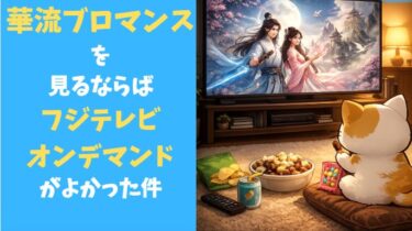 フジテレビオンデマンドは華流ドラマ好きに神？半年使ったリアルレビュー｜アニメ・サザエさん事情も解説