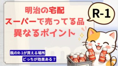 明治の宅配と市販品異なるポイントR-1について